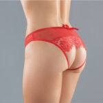 Adore Expose Panty Red O/S