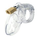CB-6000S 2 1/2" Cock Cage & Lock Set - Clear