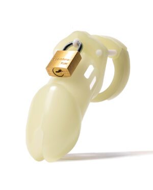 A padlock securing a translucent plastic item against a white background.