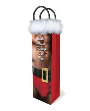 A festive gift bag featuring a humorous design of Santa with the text "Santa Has a Package For You" and fur trim at the top.