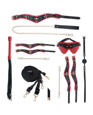 An array of BDSM gear including restraints, a whip, a blindfold, and other items against a white background.