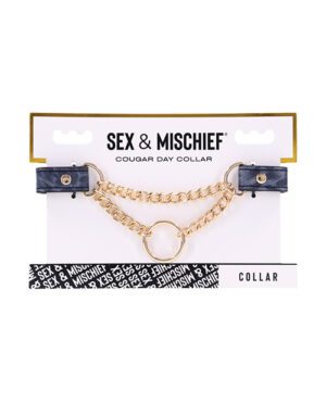 A packaged "Sex & Mischief" day collar with chain and loop on display.