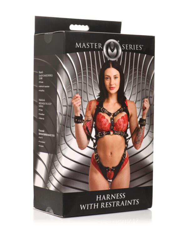 A product box from the "Master Series" featuring a woman displaying a harness with restraints.