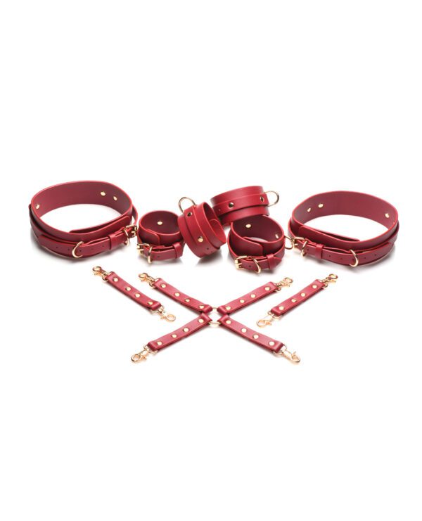 An assortment of red leather pet accessories, including a collar, leash, harness, and straps, arranged on a white background.