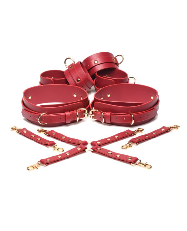 A collection of high-end red leather belts and harnesses with gold-tone hardware on a white background