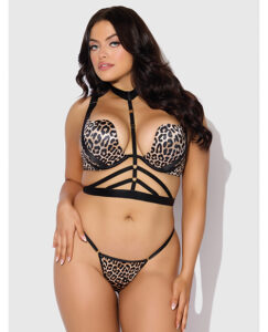 Devon Push Up Bra w/Harness & G-String 3 pc Set - Leopard 1X/2X