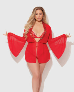 Dragon Sheer Mesh Robe w/Satin Triangle Top & G-String 3 pc Set - Red 3X/4X