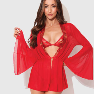 Dragon Sheer Mesh Robe w/Satin Triangle Top & G-String 3 pc Set - Red SM