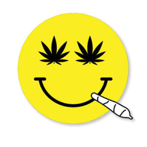 Nice Jay Sticker - Pack of 3