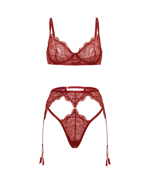 Arielle Lace Unlined Underwire 2 pc Set w/Ring Detail - Burgundy S/M - Image 5