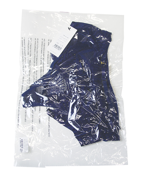 Roxie Mesh and Lace Underwire Bra w/Thong 2 pc Set - Navy L/XL - Image 4