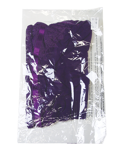 Kennedy Lace and Mesh Babydoll w/G-String 2 pc Set - Purple SM - Image 4