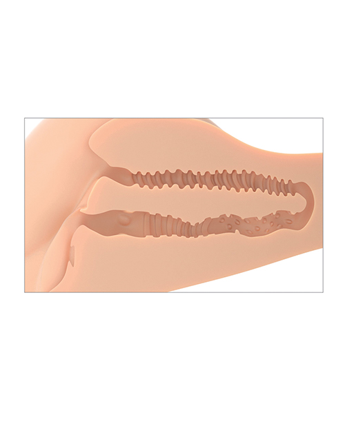 PDX Plus 360 Banger - Light - Image 6