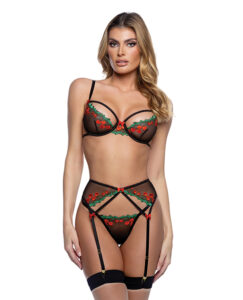 Cherry Delight Embroidered Lace and Mesh Underwire Bra w/Garter & G-String 3 pc Set - Black LG