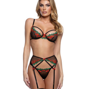 Cherry Delight Embroidered Lace and Mesh Underwire Bra w/Garter & G-String 3 pc Set - Black XL