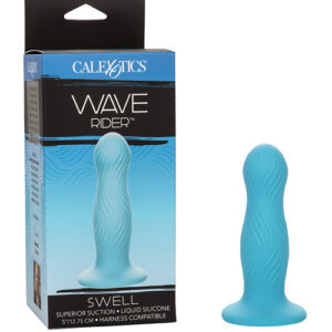 Wave Rider Swell Probe