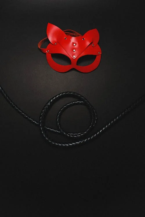 A red masquerade mask alongside a coiled black whip on a dark background.